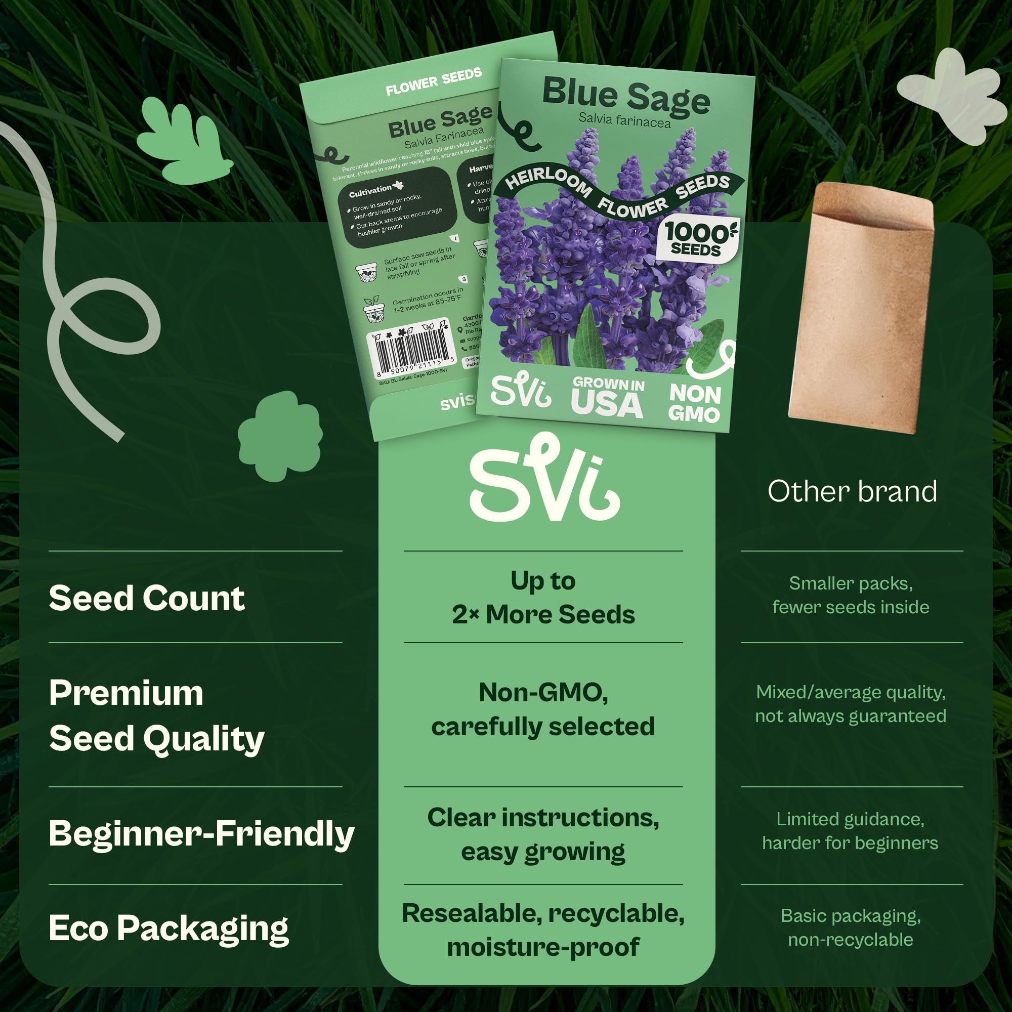 SVI Blue Sage Seeds tolerate heat, shaping resilient, low-care borders.