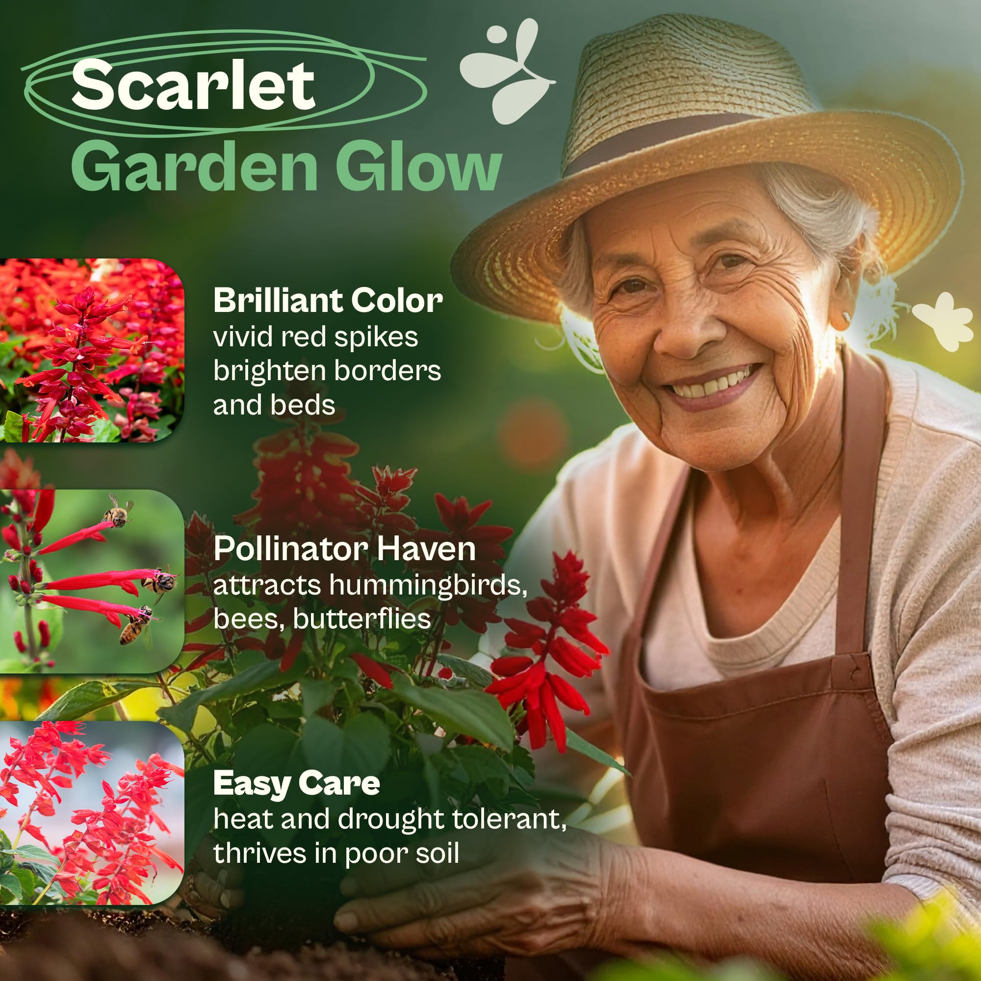 SVI deer-resistant wildflower border adds color with scarlet salvia