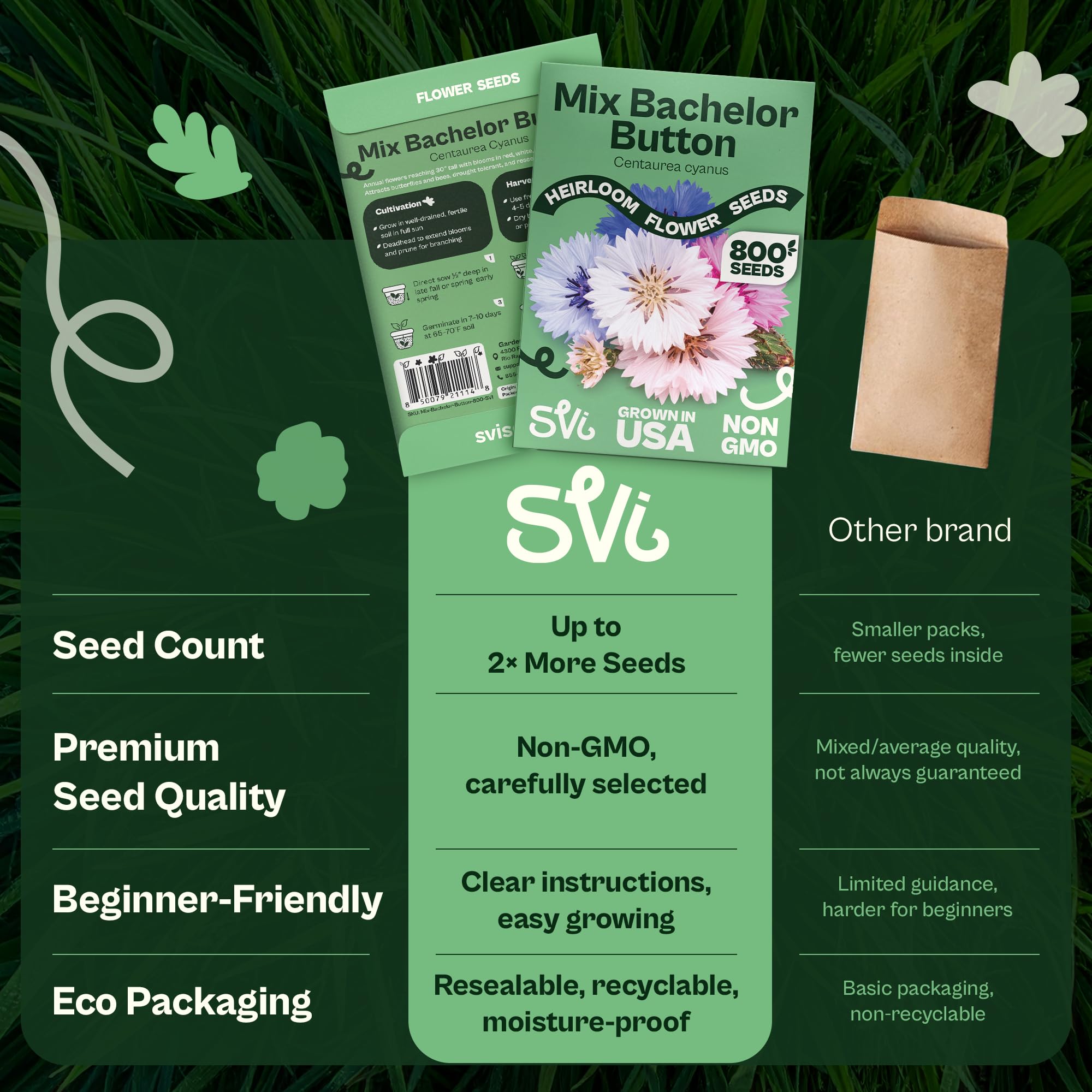 Deer-resistant wildflower mix supports wildlife with ease in borders.