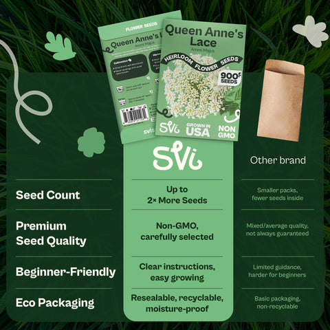 SVI Heat-tolerant annual seeds suit sunny borders.