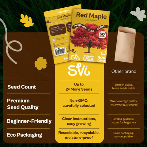 SVI hedge-ready scarlet maple scene demonstrates spacing for privacy and borders.