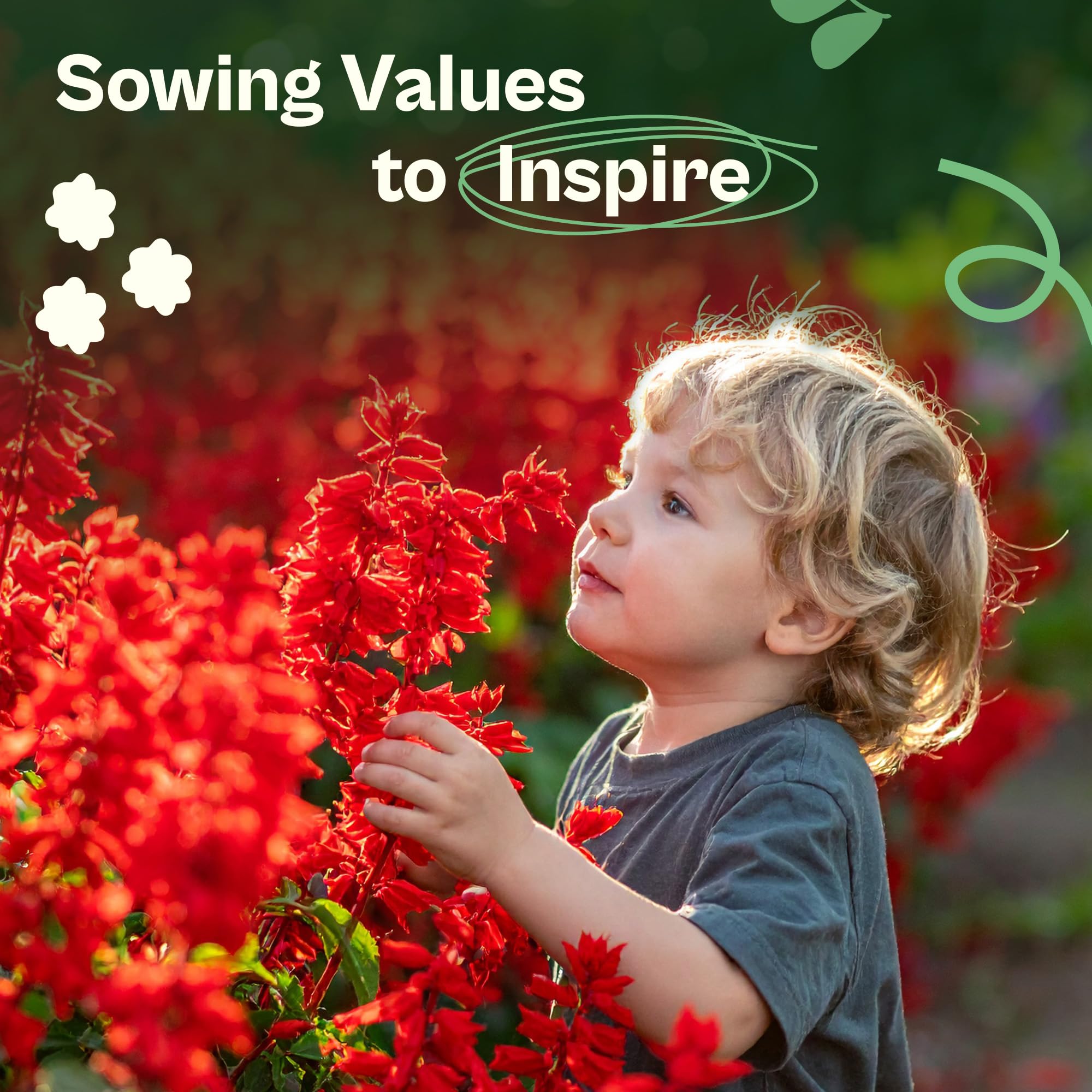 SVI outdoor and indoor planting potential in borders and beds