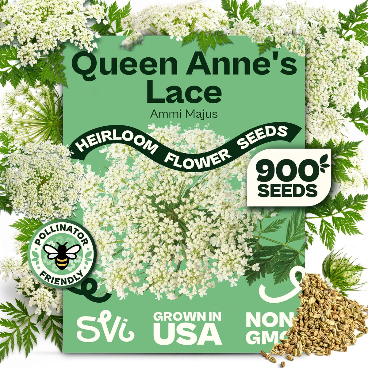 SVI Queen Anne's Lace seeds seed pack for borders and wildflower gardens.