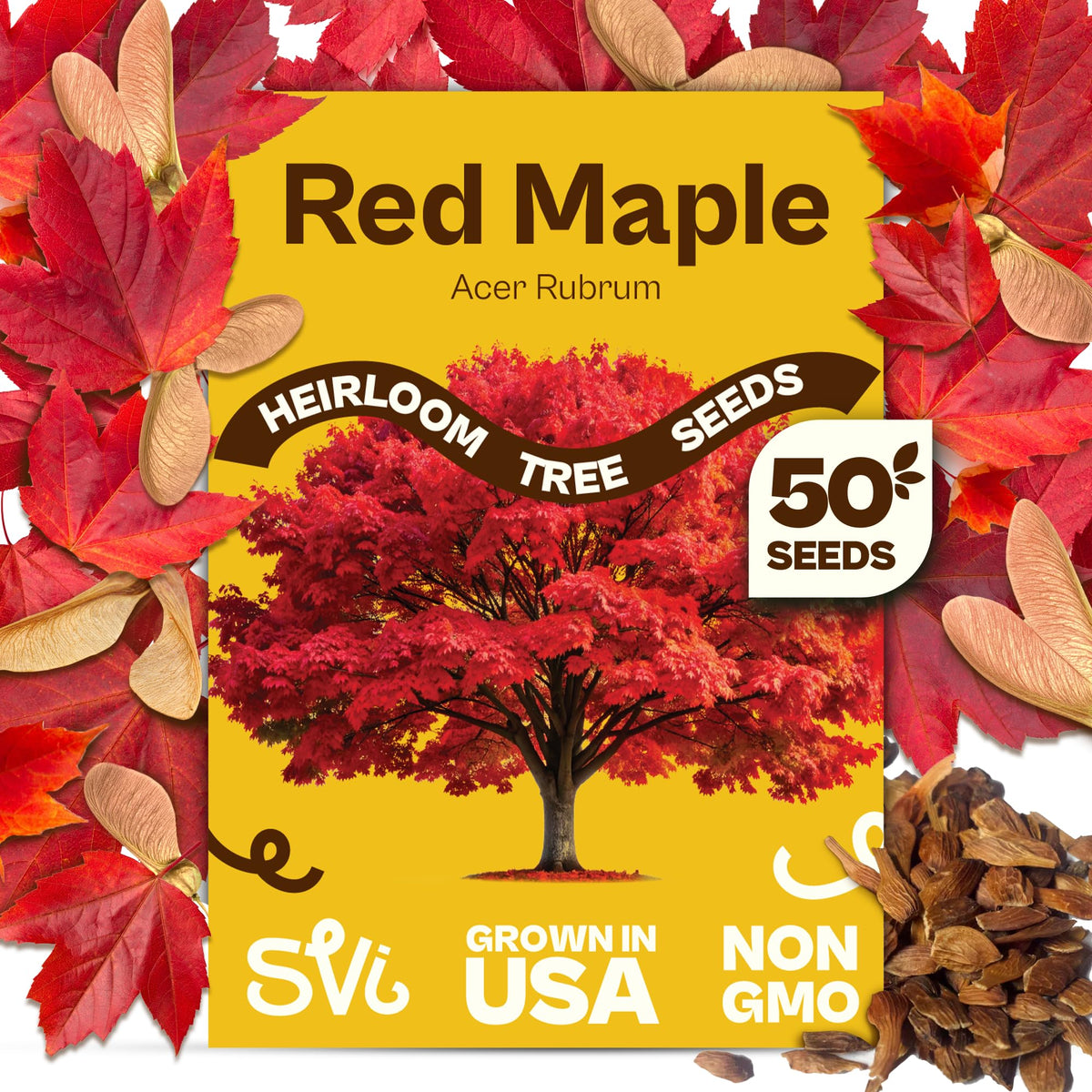 SVI red maple seeds 50-pack previewing vivid scarlet fall color for landscapes.