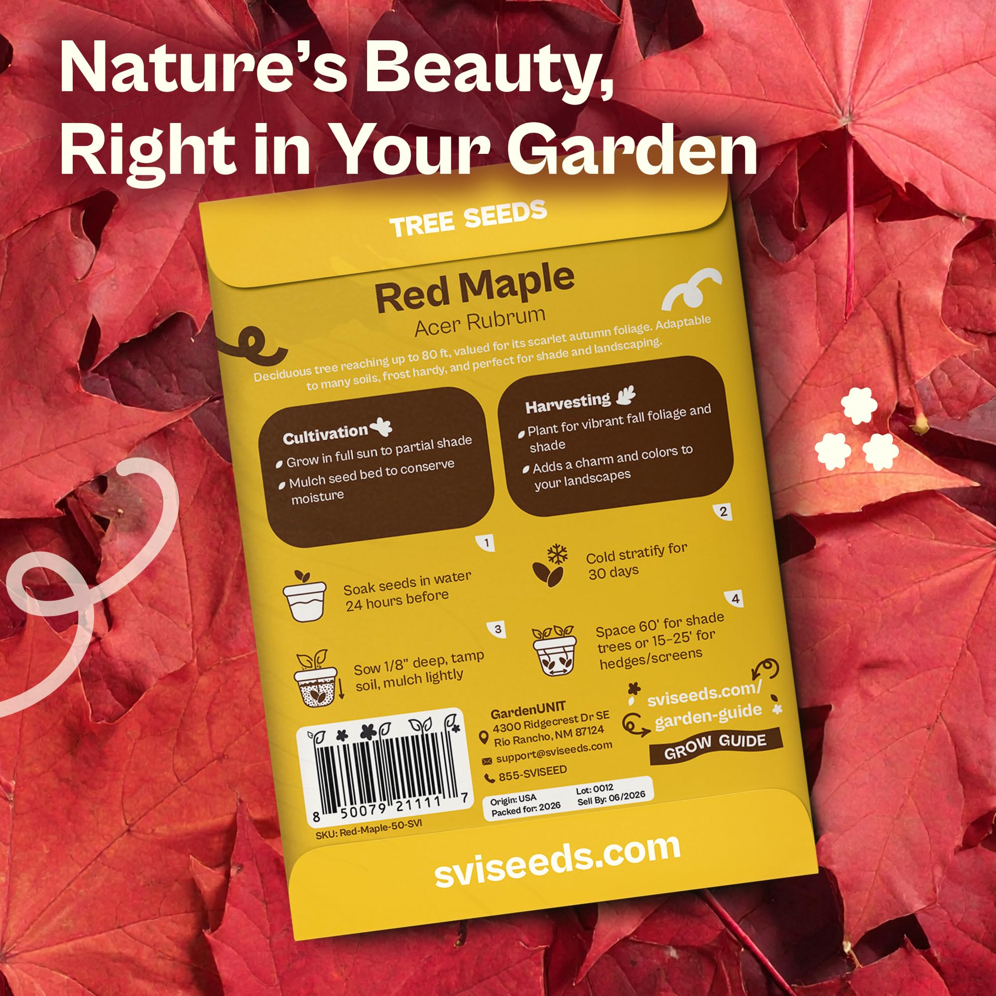 SVI scarlet maple fall color on leaves highlights seasonal curb appeal for homes.