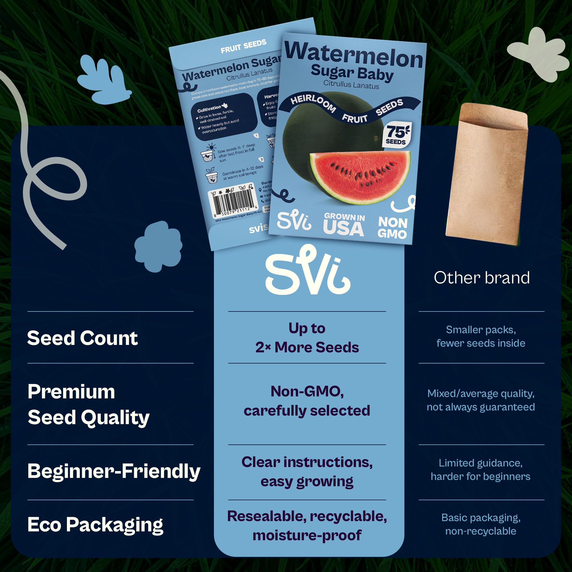 SVI Sugar Baby fruit on the vine, 6–8 inch size and sweetness.