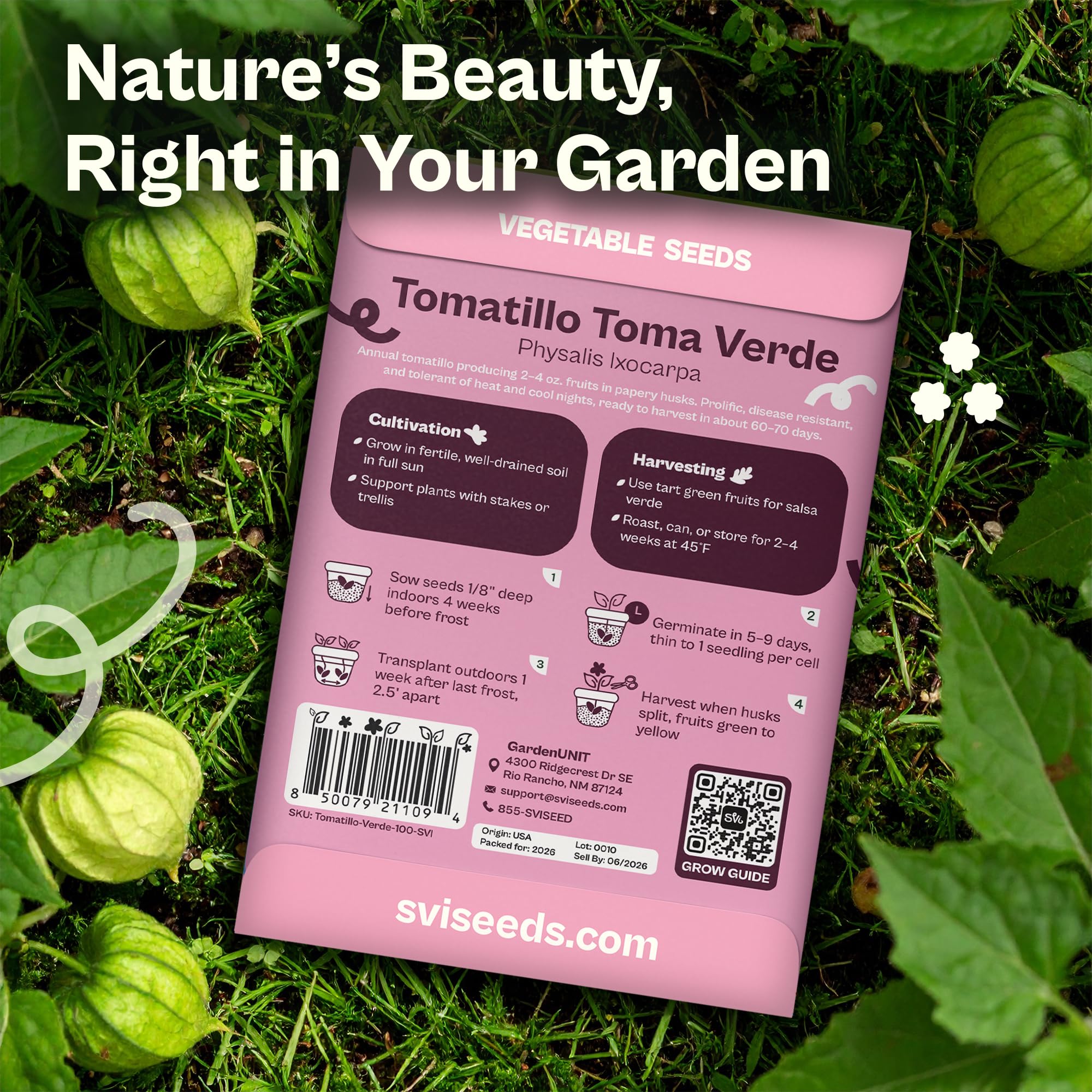 SVI Toma Verde indoors seedling setup supports early season harvest.