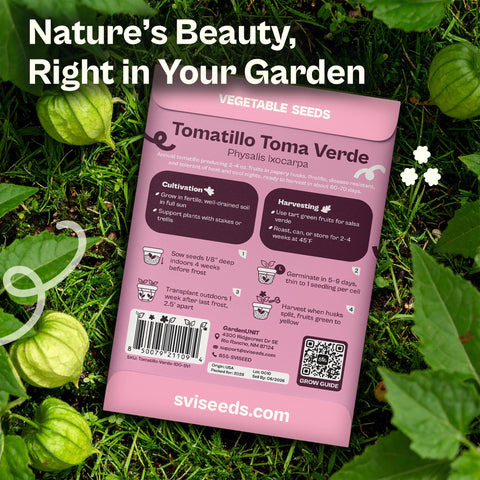 SVI Toma Verde indoors seedling setup supports early season harvest.