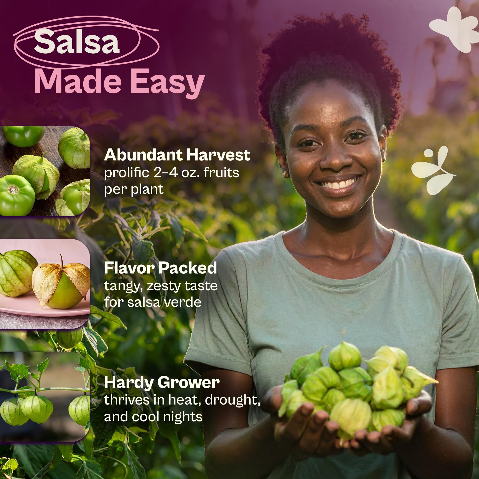 SVI Toma Verde plants grow to 4-5 feet for prolific yields.