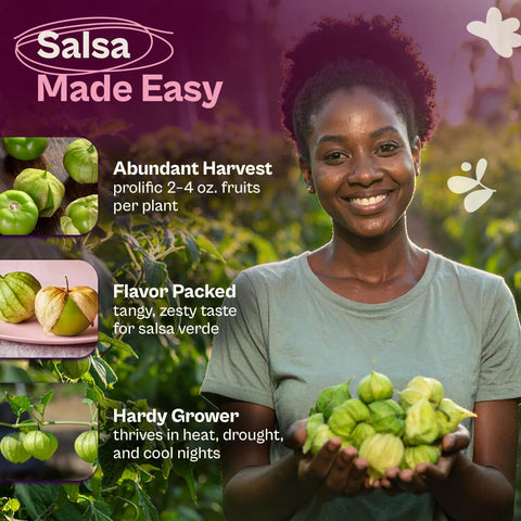 SVI Toma Verde plants grow to 4-5 feet for prolific yields.