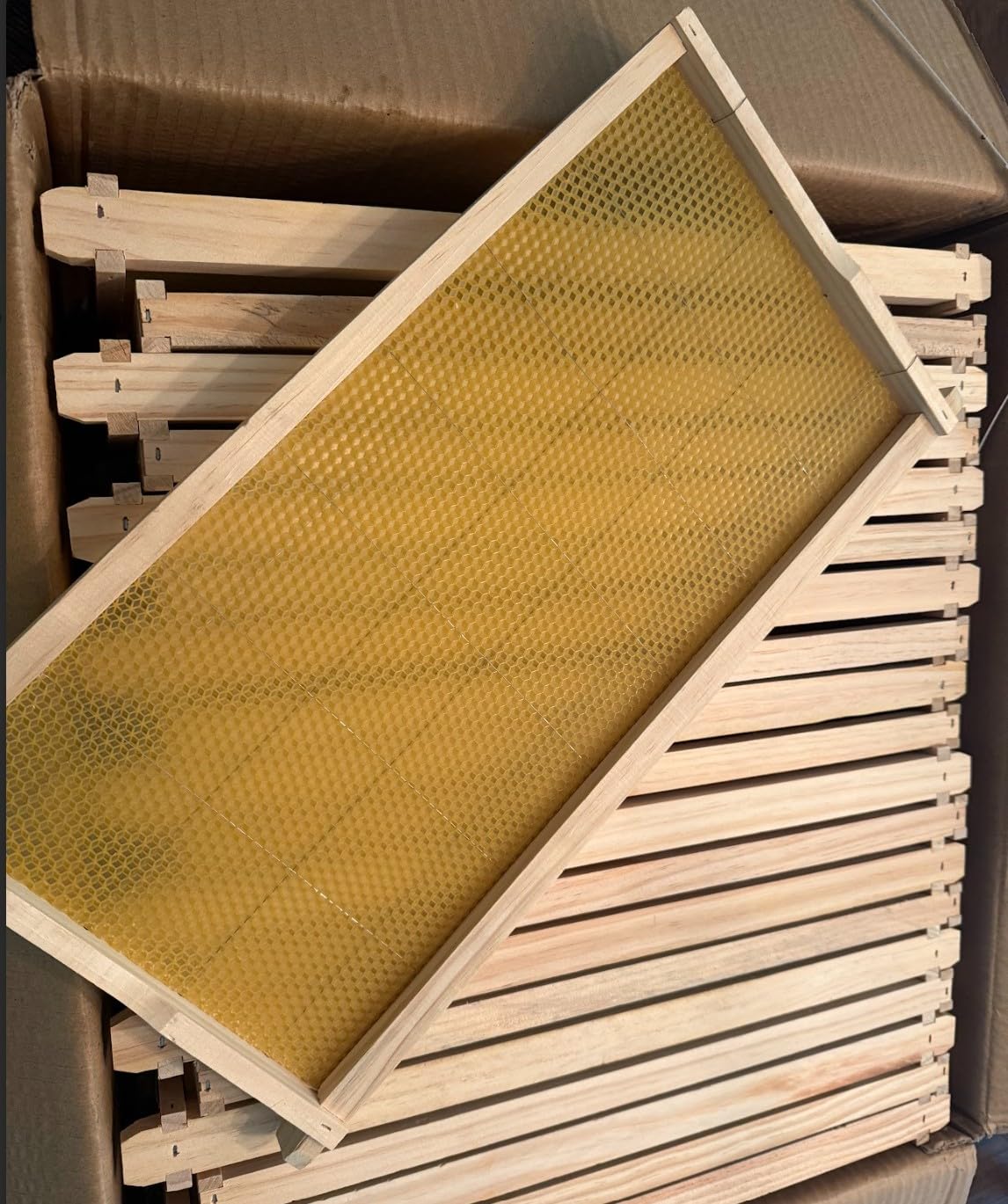 Swampland Bees beeswax foundation on a frame highlighting natural material