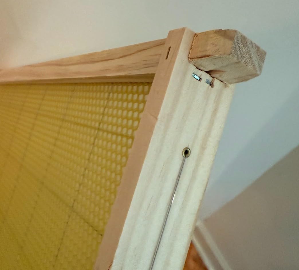 Swampland Bees deep Langstroth frame installed in a hive