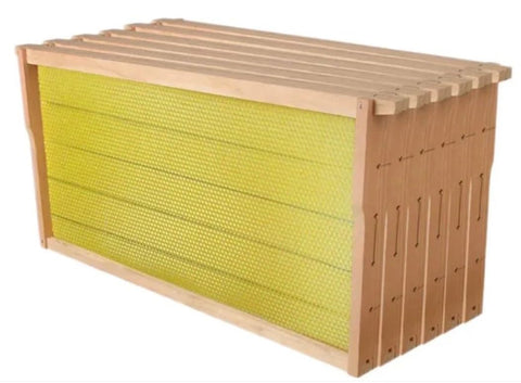 Swampland Bees fully assembled wired beeswax frame ready for hive