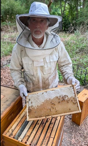 Swampland Bees plastic-free hive foundation on wood frame