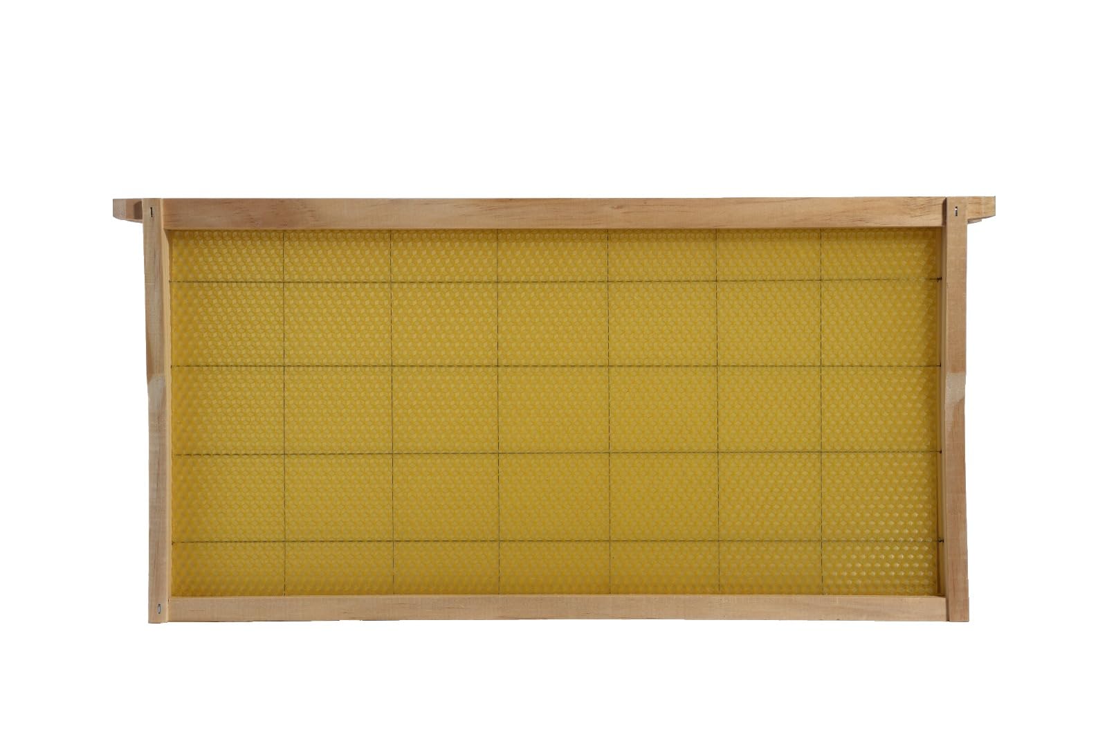 Swampland Bees ready-to-use wired frame in a hive setup
