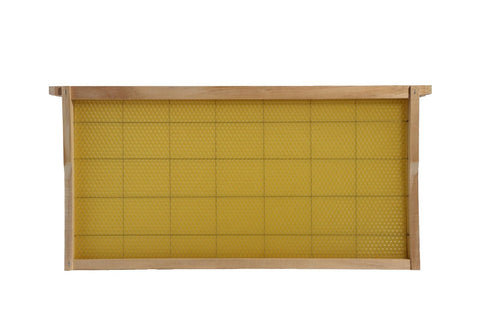 Swampland Bees ready-to-use wired frame in a hive setup