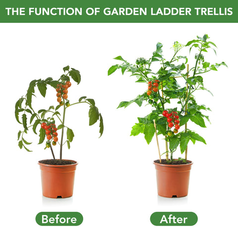 SWANGSA bamboo trellis 6-pack with twist ties simplifies securing vines.