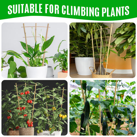 SWANGSA bamboo trellis easy to install in pots or beds.