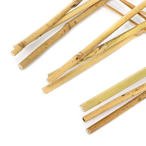 SWANGSA trapezoidal bamboo structure provides strong, durable plant support.
