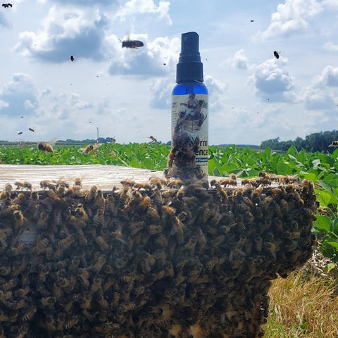 Field setup with Swarm Science Swarm Lure near a tree trunk