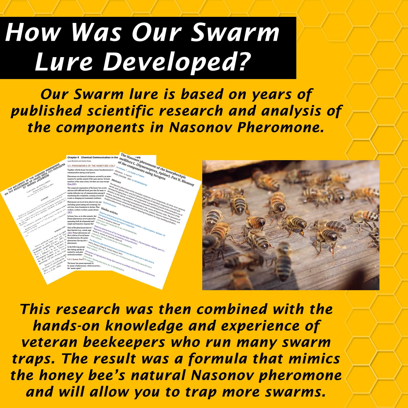 Swarm Science Swarm Lure in a trap with surrounding honey bees