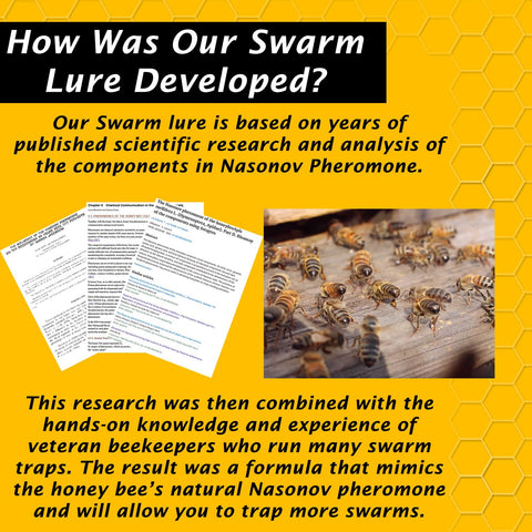 Swarm Science Swarm Lure in a trap with surrounding honey bees