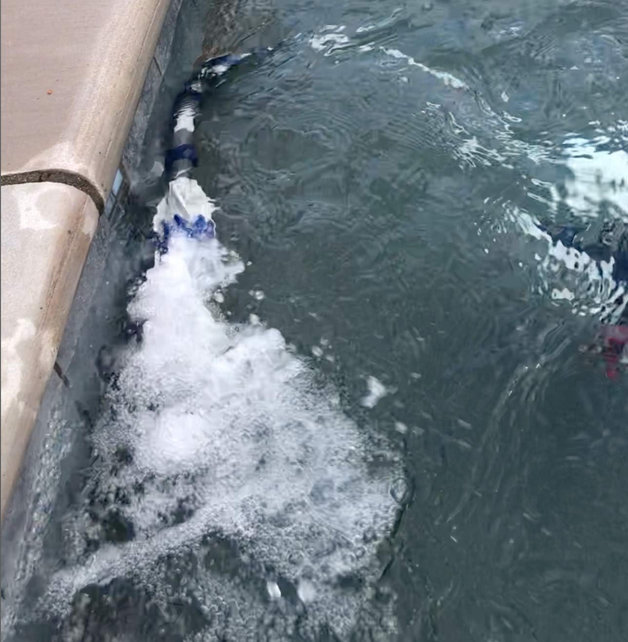 SWASHER Polaris tail foam replacement extends cleaner performance with minimal downtime.