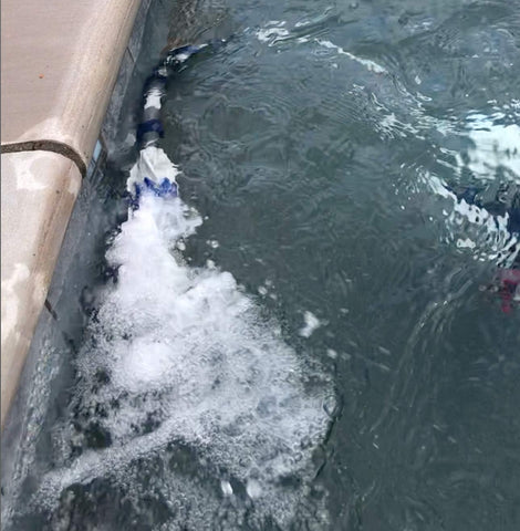 SWASHER Polaris tail foam replacement extends cleaner performance with minimal downtime.