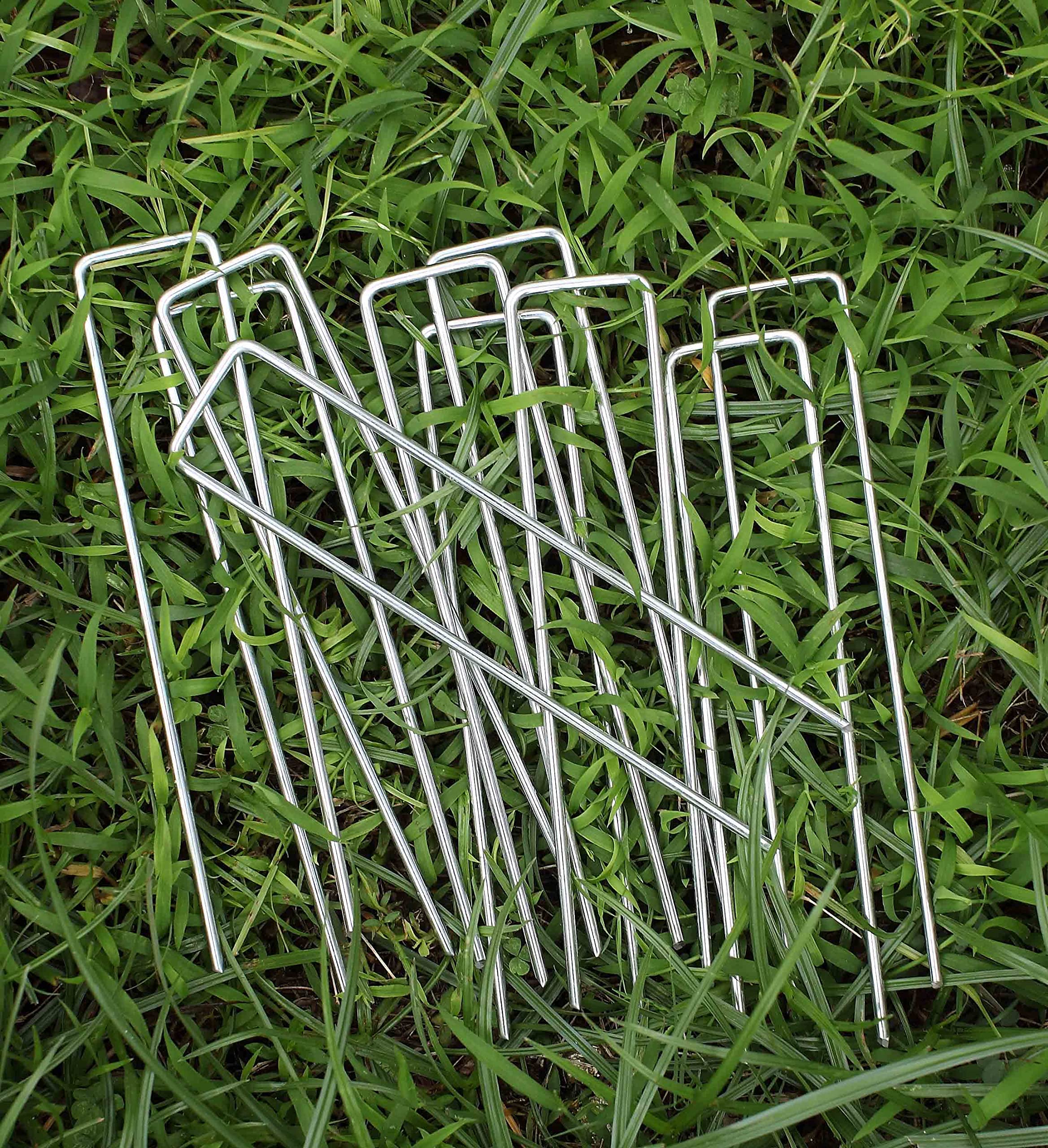 Sweecomb drip-irrigation pipe secure-stake keeps hoses in place.