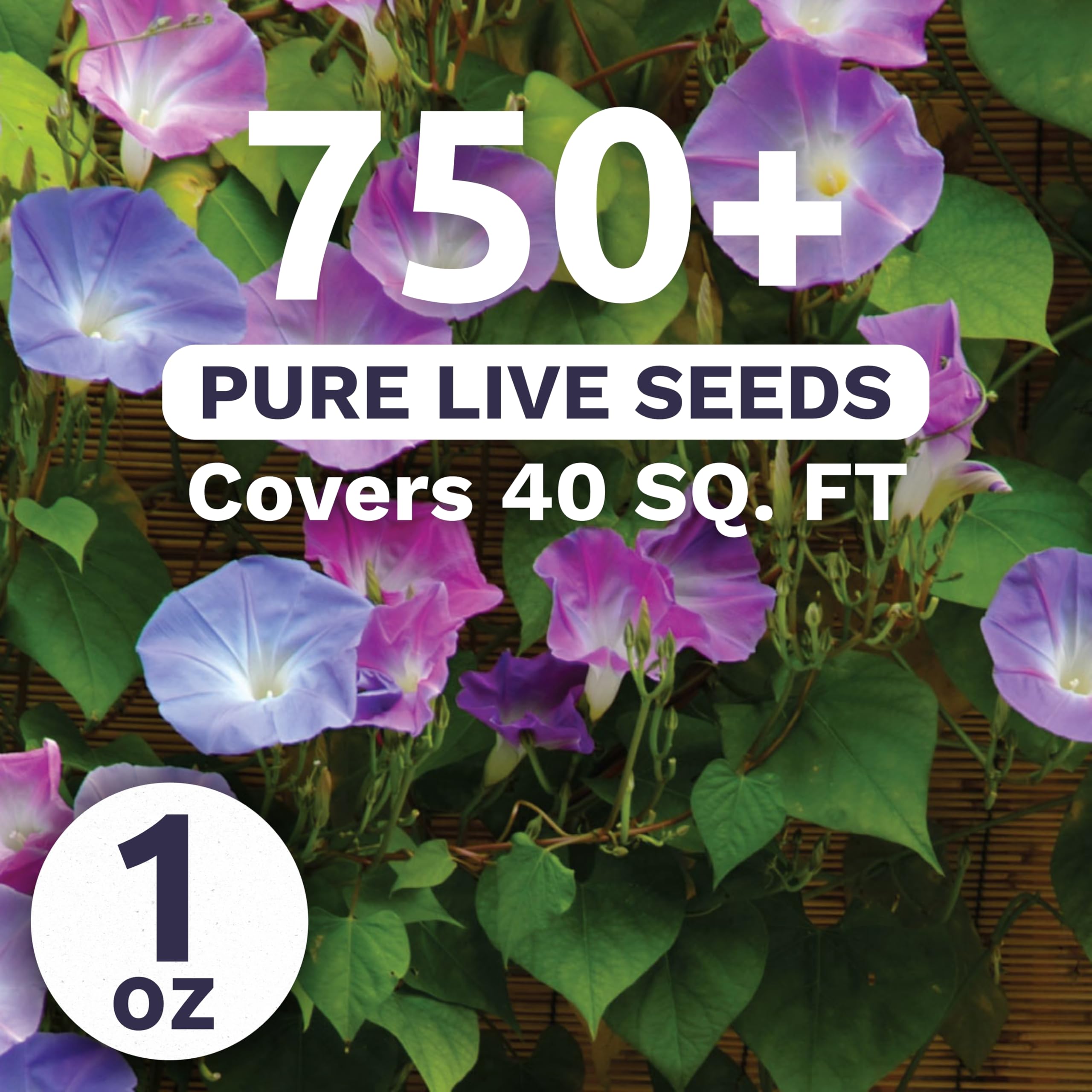 Sweet Yards 1-ounce seed packet ready for planting and quick garden coverage