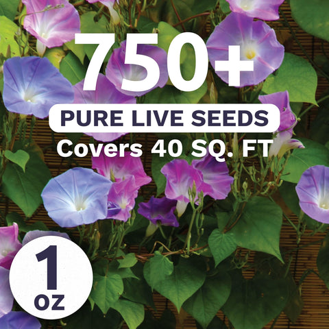 Sweet Yards 1-ounce seed packet ready for planting and quick garden coverage