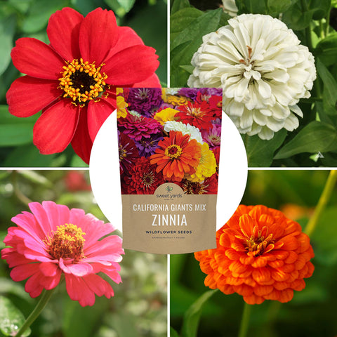 Sweet Yards garden bed ready to host 1,600 sq ft of zinnias