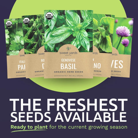 Sweet Yards 2026 season fresh seeds with high germination potential.
