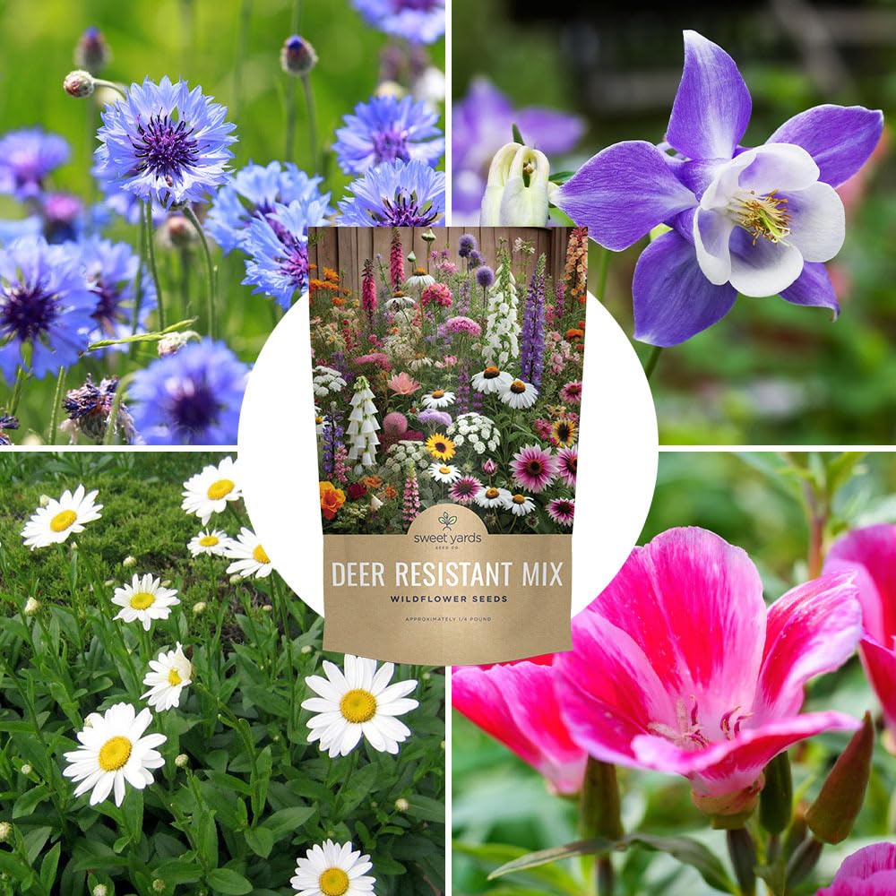 Sweet Yards 22-flower variety close-up showcases diverse pollinator-friendly options.