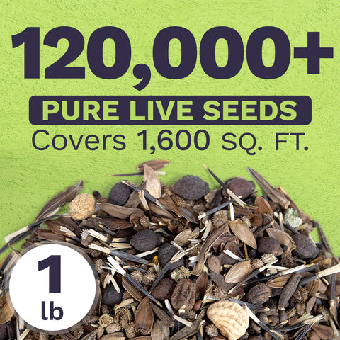 Sweet Yards 23-species wildflower mix shown for a diverse, nectar-rich garden.