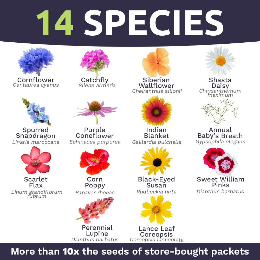 Sweet Yards 30k-native seeds offer broad diversity for thriving pollinator habitats