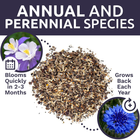 Sweet Yards 400-sq-ft coverage seeds spread for lush garden borders.