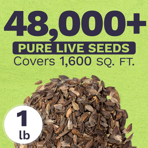 Sweet Yards one-pound pack contains over 48,000 live zinnia seeds