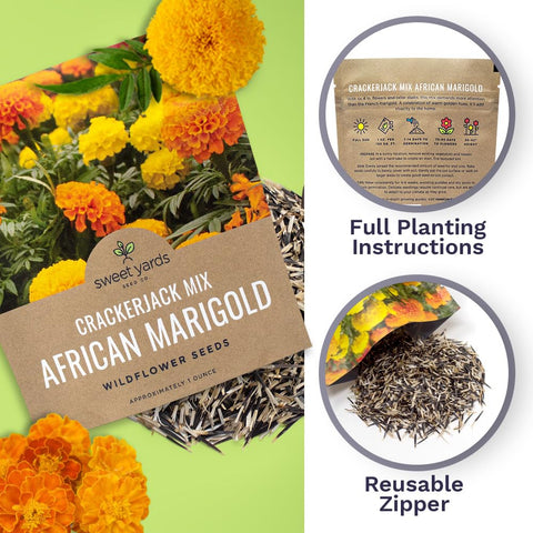 Sweet Yards Crackerjack pollinator friendly seeds attract bees