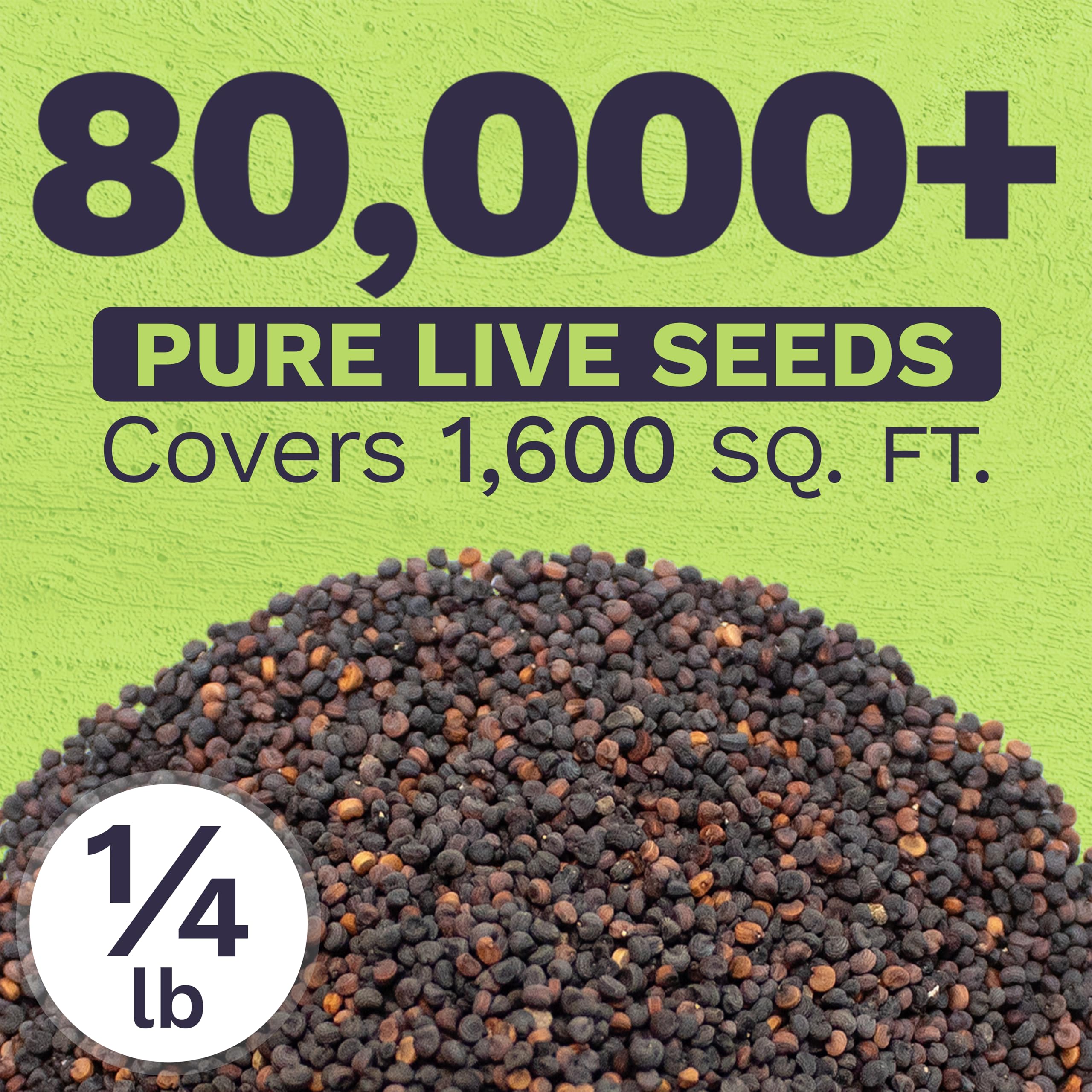 Open-pollinated seeds with high germination potential for quick white-flower display.