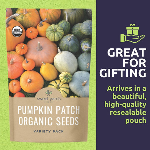 Sweet Yards Big Max pumpkin seed packet for large, robust vines.