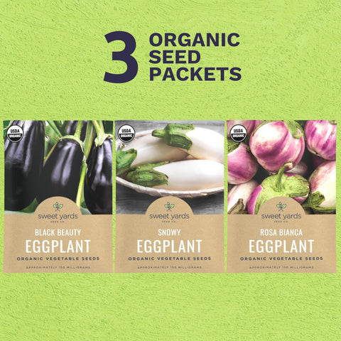 SWEET YARDS Black Beauty eggplant seeds packet highlights classic variety for flavorful harvest.