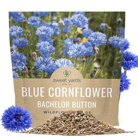 Sweet Yards Blue Cornflower seeds ready to sow for vibrant blue blooms.