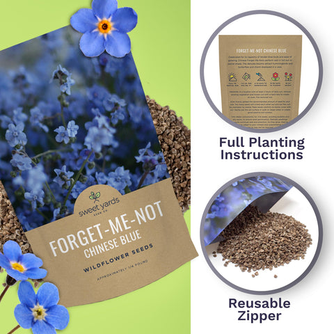 Sweet Yards blue Cynoglossum amabile blooms create a vibrant border in gardens.