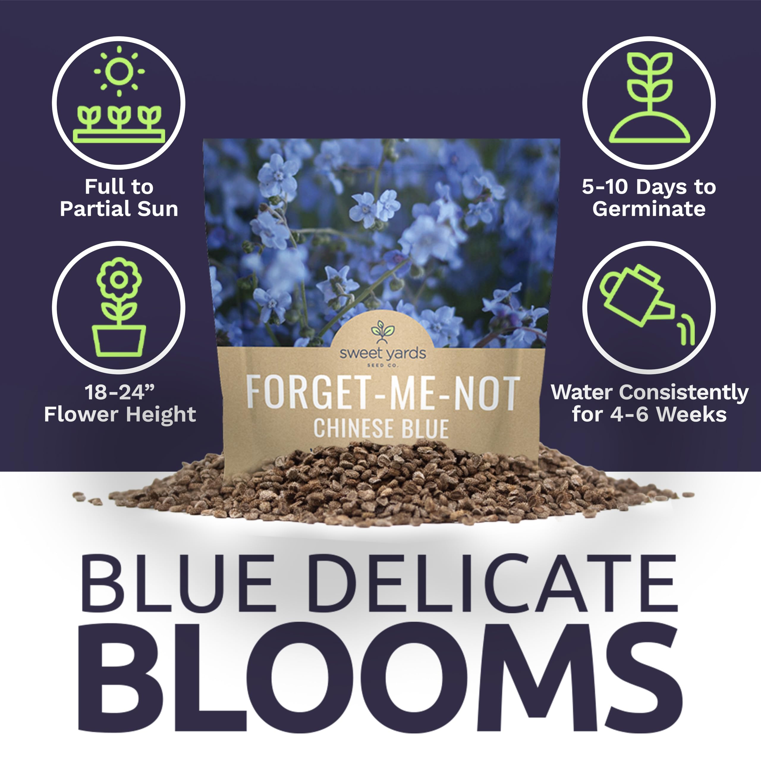Sweet Yards blue flowers form a vibrant border in sunlit garden beds