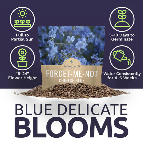 Sweet Yards blue flowers form a vibrant border in sunlit garden beds