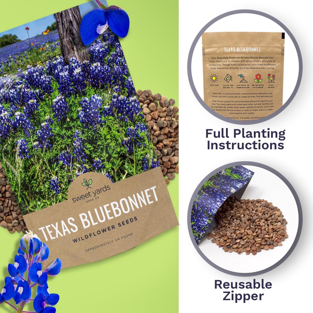 Sweet Yards preview of bluebonnet field bloom for visual inspiration.