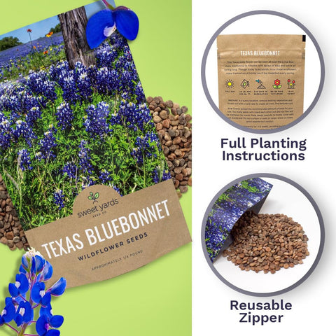Sweet Yards preview of bluebonnet field bloom for visual inspiration.
