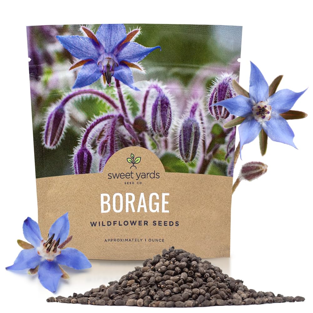 Sweet Yards Borage seeds extra large packet ready for sowing, covers up to 100 sq ft.