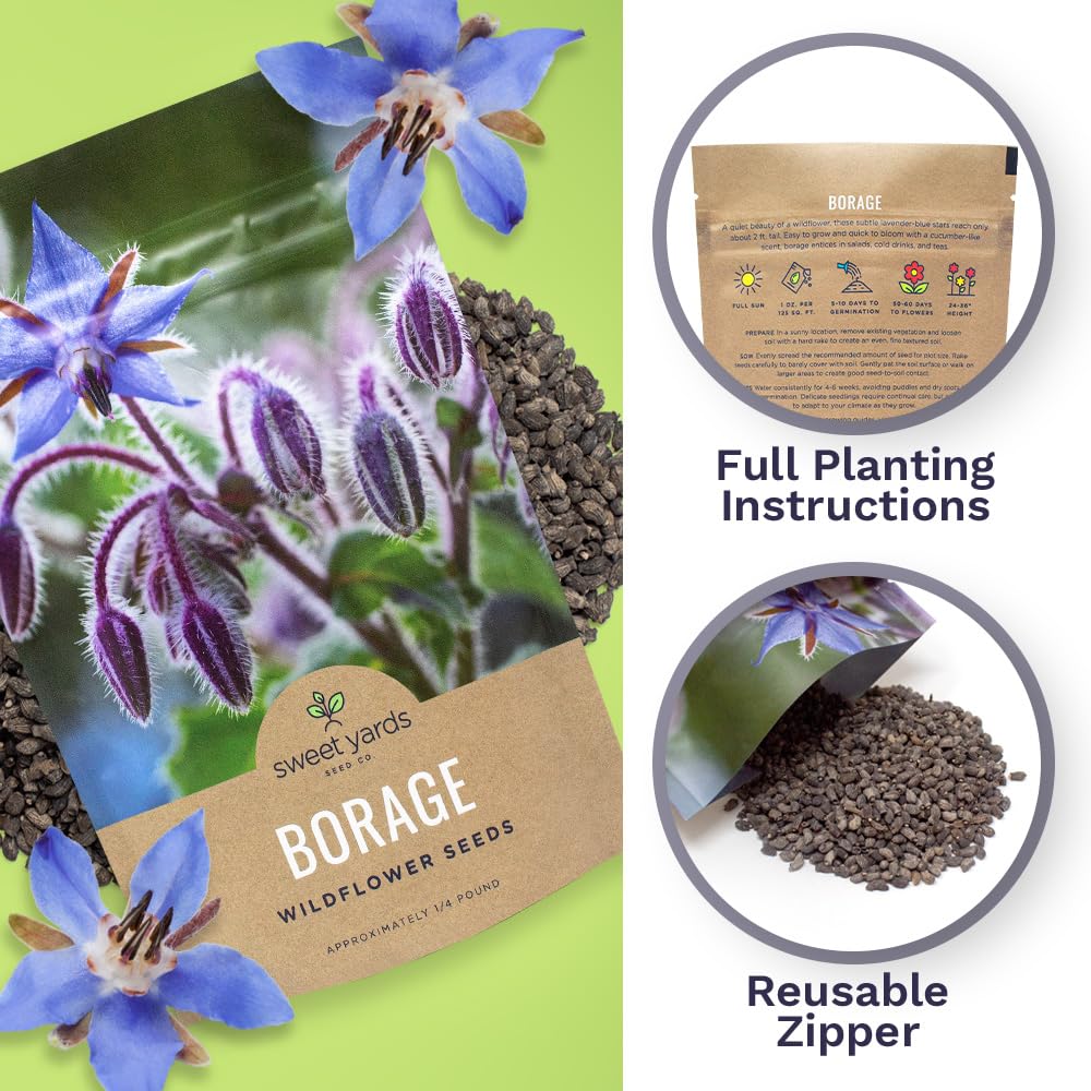 Sweet Yards Borage seeds fresh seeds, high germination potential